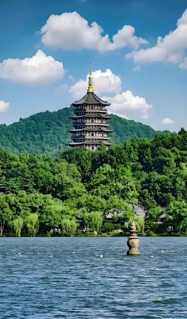 黄金网站app观看视频大全免费下载